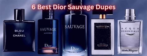 dior eau sauvage clone|dior sauvage dupe zara.